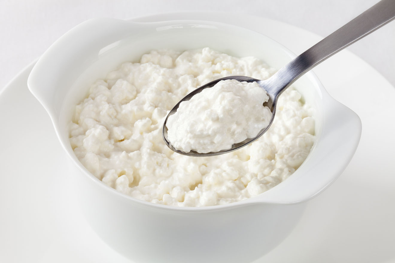 The Constituents of Cottage Cheese