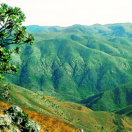 The Oldest Mountain Range in the World is in South Africa!