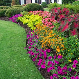 Designing a Colorful Flower Bed